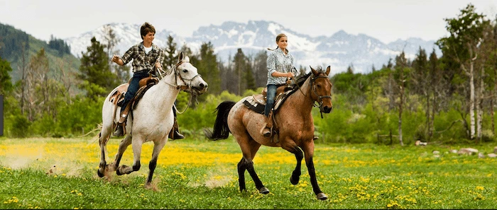 Confident plus-size woman riding Great Yarmouth a horse through a field with a smile on her face.